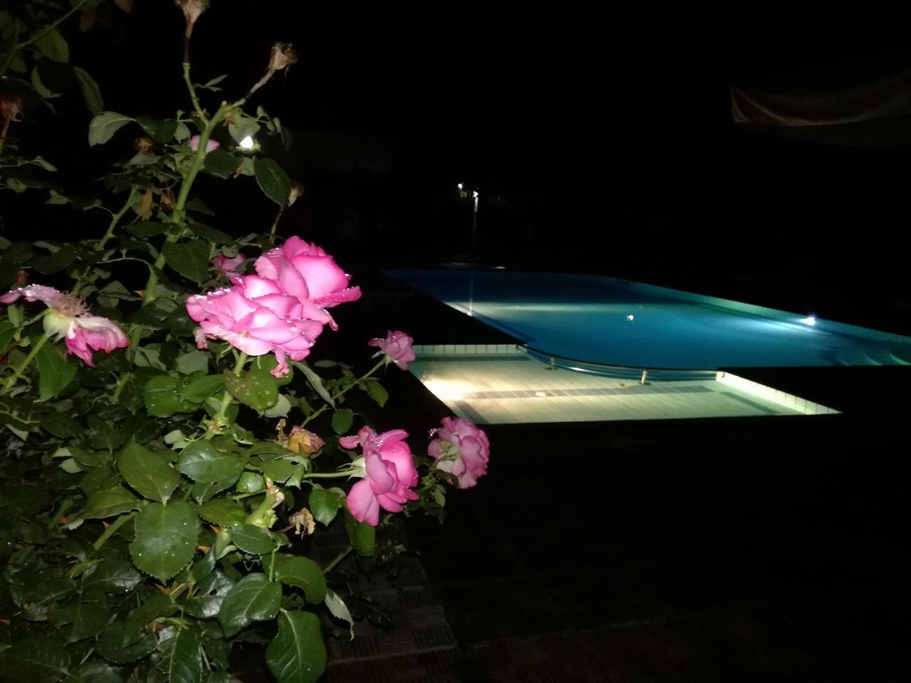 Prespa Resort & Spa Platí Kültér fotó